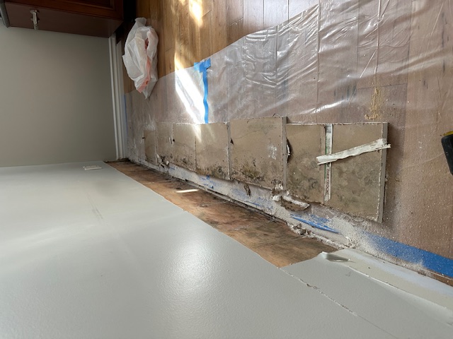 Condo leaks, interior water damage, mold from adjacent planter leak